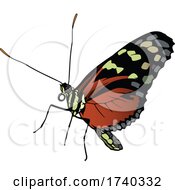 Poster, Art Print Of Monarch Butterfly