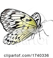 Poster, Art Print Of Paper Kite Butterfly
