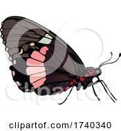 Poster, Art Print Of Swallowtail Butterfly