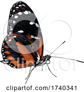 Poster, Art Print Of Tiger Longwing Butterfly