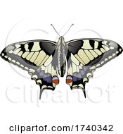 Poster, Art Print Of Tiger Swallowtail Butterfly