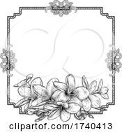 Plumeria Frangipani Tropical Flower Funeral Invite