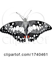 Poster, Art Print Of Lime Butterfly