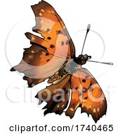 Poster, Art Print Of Polygonia Interrogationis Butterfly