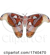 Poster, Art Print Of Attacus Atlas Moth