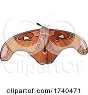 Poster, Art Print Of Attacus Lorguini Moth