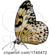 Poster, Art Print Of Big White Butterfly