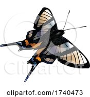 Poster, Art Print Of Chorinea Sylphina Butterfly