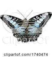Poster, Art Print Of Clipper Butterfly