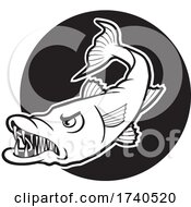 Poster, Art Print Of Barracuda Fish Mascot Over A Black Circle