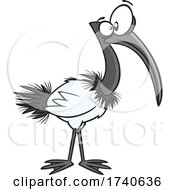 Cartoon Ibis Bird