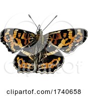 Poster, Art Print Of Araschnia Burejana Large Map Butterfly
