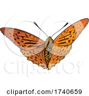 Poster, Art Print Of Argynnis Anadyomene Butterfly