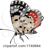 Poster, Art Print Of Talicada Nyseus Red Pierrot Butterfly