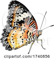 Poster, Art Print Of Cethosia Cyane Leopard Lacewing Butterfly