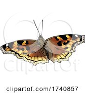 Poster, Art Print Of Nymphalis Vaualbum False Comma Compton Tortoiseshell Butterfly