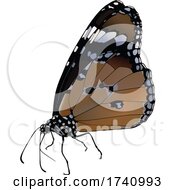 Poster, Art Print Of Danaus Chrysippus African Queen Butterfly