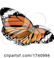 Poster, Art Print Of Danaus Genutia Common Tiger Butterfly