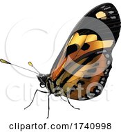 Poster, Art Print Of Eueides Isabella Butterfly
