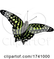 Graphium Agamemnon Tailed Jay Butterfly by dero