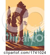 Poster, Art Print Of General Grant Tree Trail With The Largest Giant Sequoia In The General Grant Grove Section Of Kings Canyon National Park In California Wpa Poster Art