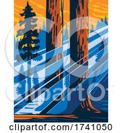 The Giant Sequoia National Monument Located In The Southern Sierra Nevada In Eastern Central California USA WPA Poster Art