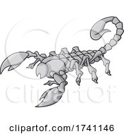 Poster, Art Print Of Grayscale Scorpion