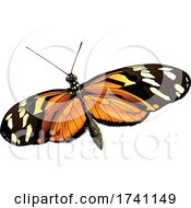 Poster, Art Print Of Heliconius Ismenius Tiger Heliconian Butterfly