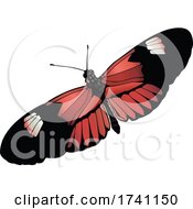 Poster, Art Print Of Heliconius Melpomene Postman Butterfly