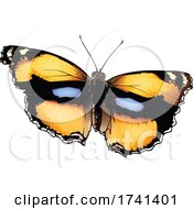 Poster, Art Print Of Junonia Hierta Yellow Pansy Butterfly