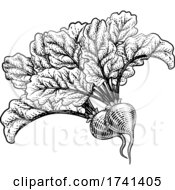 Poster, Art Print Of Beets Beetroot Vegetable Woodcut Illustration