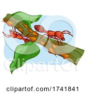 Poster, Art Print Of Ant Aphids Illustration