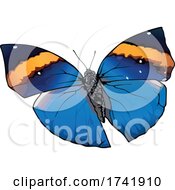 Poster, Art Print Of Kallima Inachus Butterfly