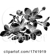 Poster, Art Print Of Tropical Plumeria Frangipani Bali Flower Woodcut