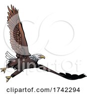 Poster, Art Print Of Bald Eagle