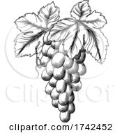Bunch Of Grapes On Grape Vine And Leaves