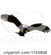 Poster, Art Print Of Swooping Bald Eagle