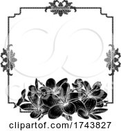 Poster, Art Print Of Plumeria Frangipani Tropical Flower Wedding Invite