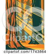 Poster, Art Print Of Sunlight Through The Giant Sequoia Trees Of Sequoia National Park Located In Sierra Nevada California Wpa Poster Art