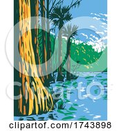 Poster, Art Print Of Subtropical Wetlands In Everglades National Park In The State Of Florida Wpa Poster Art