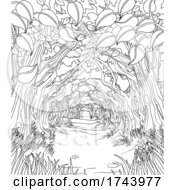 Poster, Art Print Of Woodland Forest Trees Path Coloring Book Scene