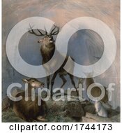 Poster, Art Print Of Deer And A Rabbit