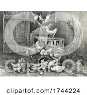 Poster, Art Print Of Farm Birds In The Poultry Yard