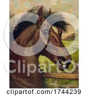 Poster, Art Print Of Beautiful Horse Against Grass