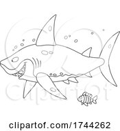 Poster, Art Print Of Fish And Shark
