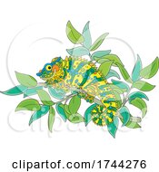 Poster, Art Print Of Chameleon Lizard On A Branch