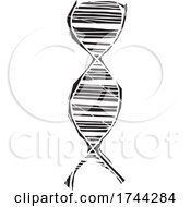 Poster, Art Print Of Dna Strand Helix