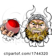 Viking Cricket Ball Sports Mascot Cartoon