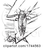 Poster, Art Print Of Brood X Cicada In Black And White