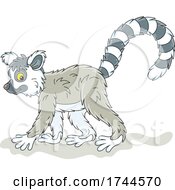 Poster, Art Print Of Cute Walking Lemur